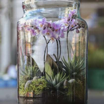 Terrarium Workshop
